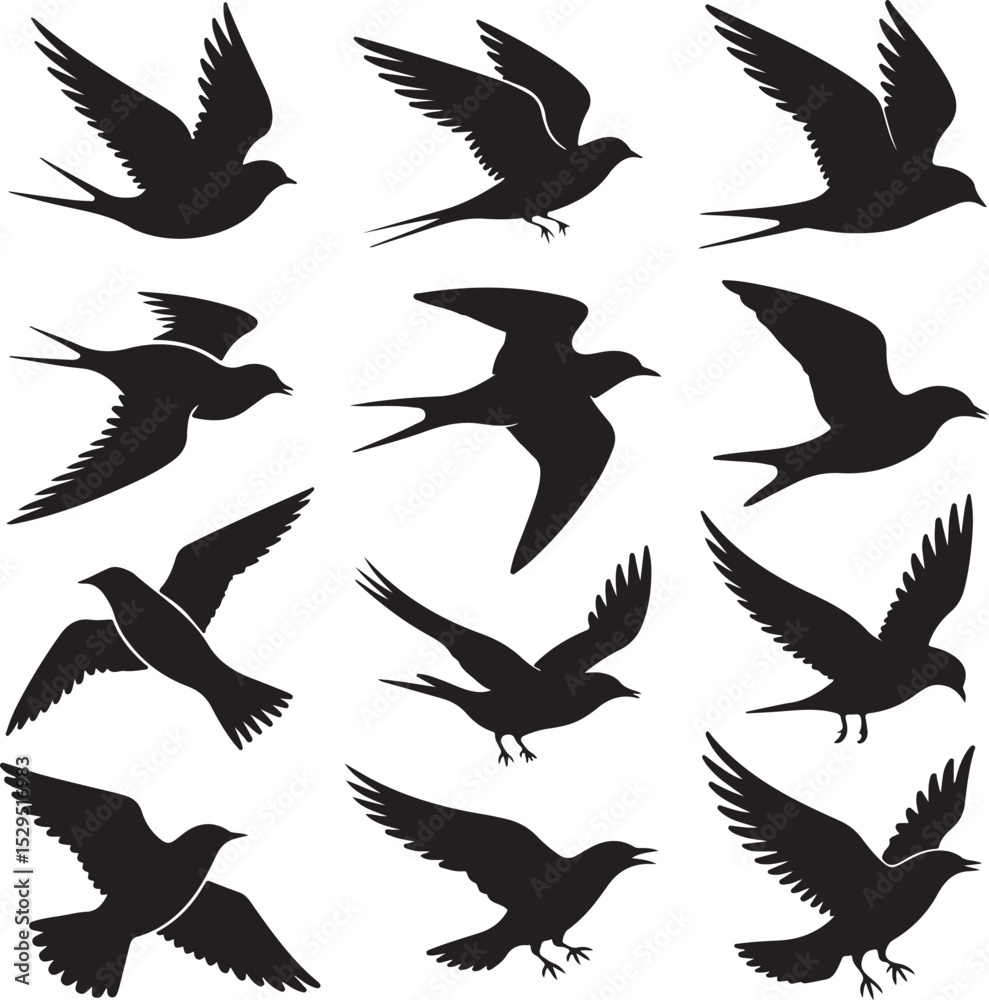 Fototapeta premium Bird Silhouette Bundle – 10 Flying Bird Vectors in Black & White – Wings Up, Down, Gliding, Landing, Flapping & Diving
