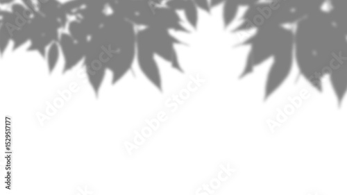 Tropical plant leaf shadow effect. Transparent overlay background. Blurred branch silhouette for natural spring mockup, elegant product display, or design decoration.