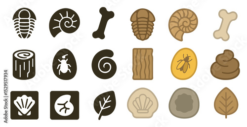Natural history outline icons set – line, silhouette, fossils and plant symbols