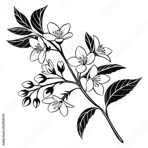 Elegant floral arrangement features blossoming white flowers and intricate black leaves on a delicate branch
