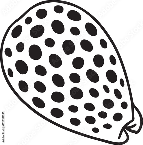Unique Spotted Cowrie Shell Vector Illustration - High-DPI for Quality Prints