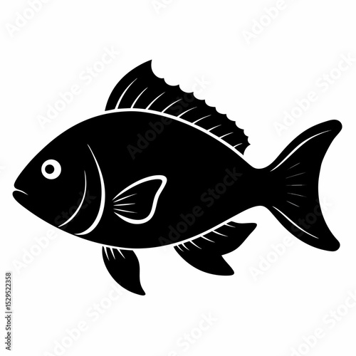 Tilapia Fish Silhouette Vector Illustration on a White Background for Graphic Design and Commercial Use