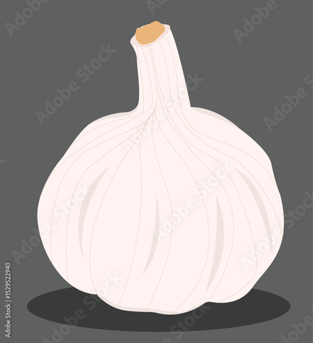 ektor Fresh whole garlic vegetable and garlic cloves