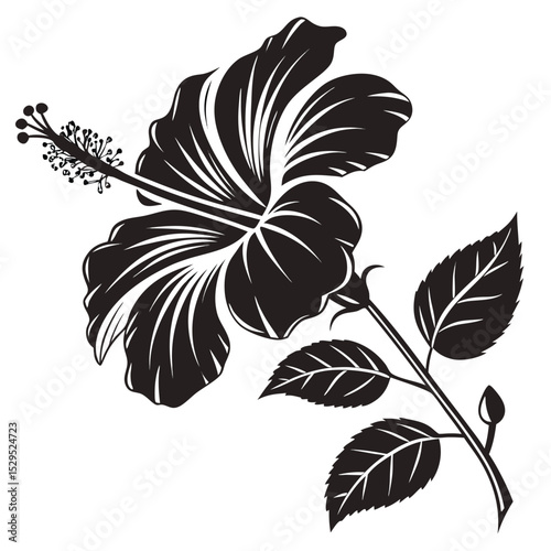 Black hibiscus flower on a stem with leaves shows a monochromatic floral elegance