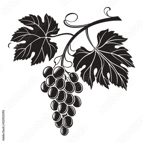 Black grapes dangle from a vine with leaves, forming an elegant organic silhouette