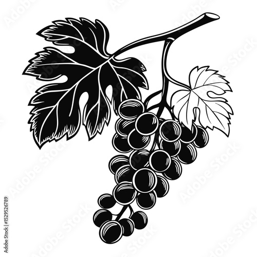 A hanging bunch of grapes with leaves is presented in a black silhouette