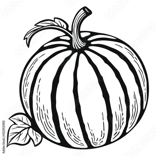 Hand drawn black and white striped pumpkin with stem and leaves appears isolated