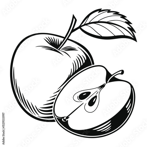 Elegant apple with leaf and cross section showcases artistic black and white line art