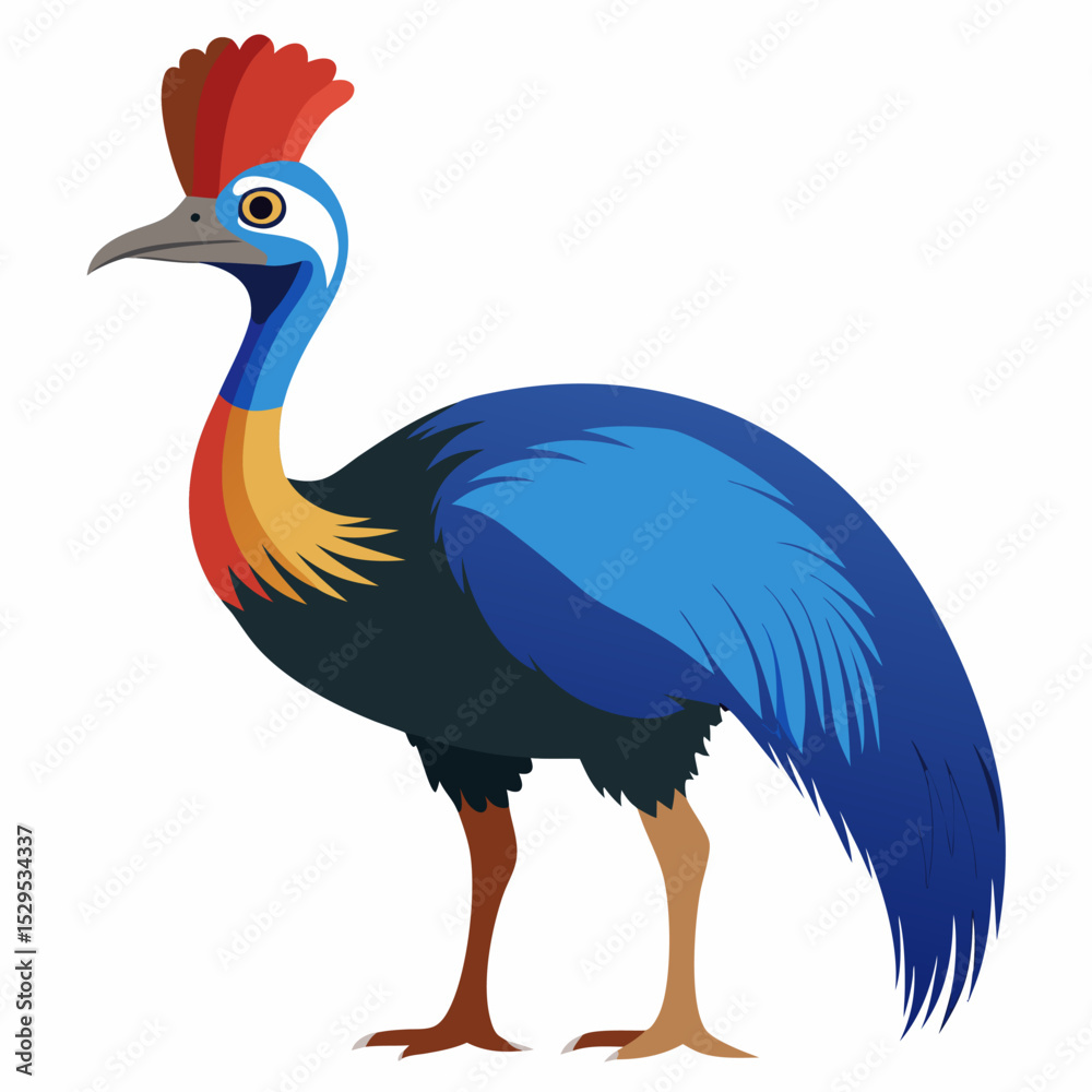 Fototapeta premium Cassowary Illustration on White Background Vector Design of a Flightless Bird from Australia and New Guinea