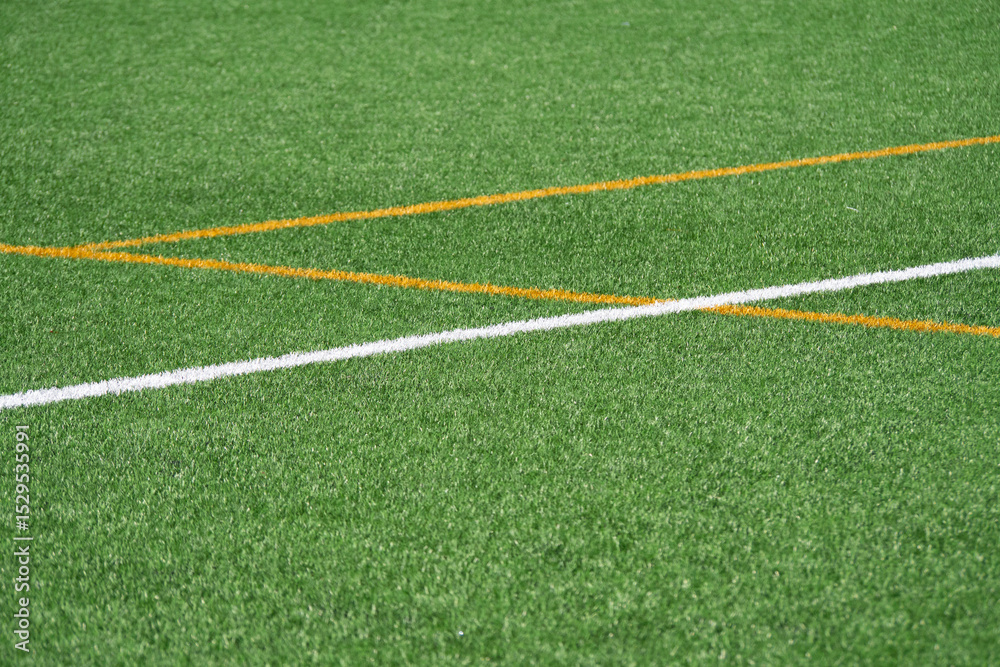 Obraz premium Vibrant green sports field with crisp lines marking the playing area