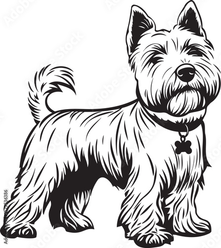 illustration of a West Highland White Terrier dog