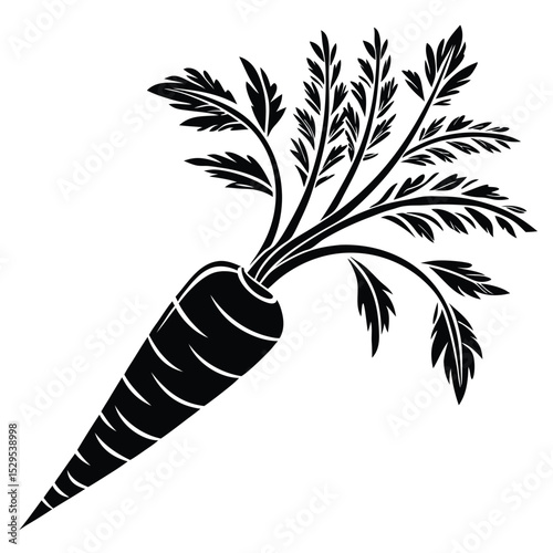 Black carrot shows root vegetable with linear details and leaves forming its crown