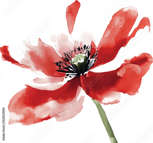 Flowers watercolor illustration vector.Manual composition.Big Set watercolor elements.