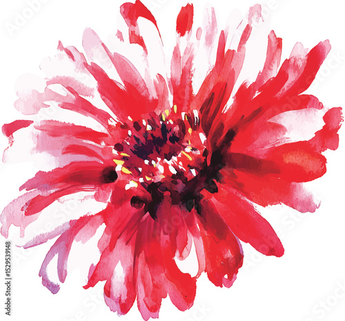Flowers watercolor illustration vector.Manual composition.Big Set watercolor elements.