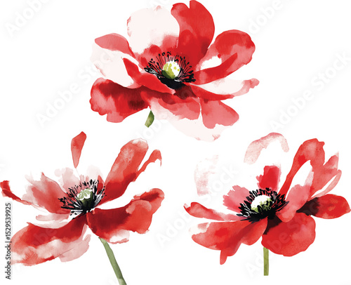 Flowers watercolor illustration vector.Manual composition.Big Set watercolor elements.