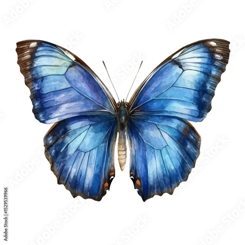 watercolor of Blue Morpho Butterfly, vector high quality, isolated on a white background.