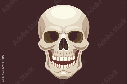 human skull vector illustration