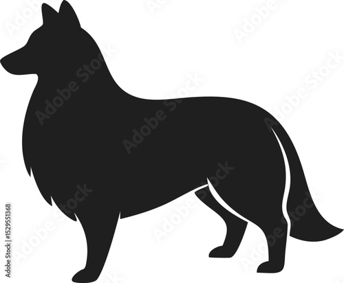 Shetland Sheepdog silhouette elegant herding breed known for intelligence and agility