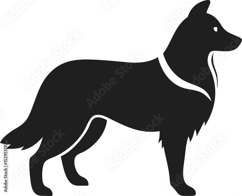 Border Collie dog silhouette agile herding breed known for intelligence and energy