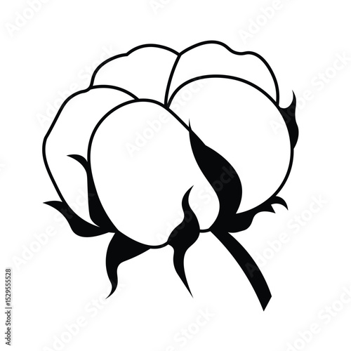 Vector illustration of a cotton flower