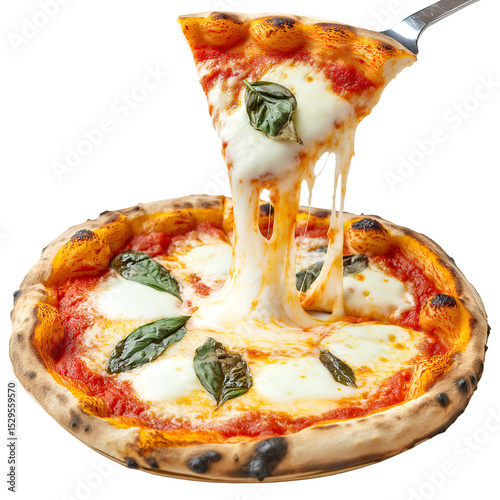 Pizza with fresh and melted mozzarella , isolated on transparent background, png