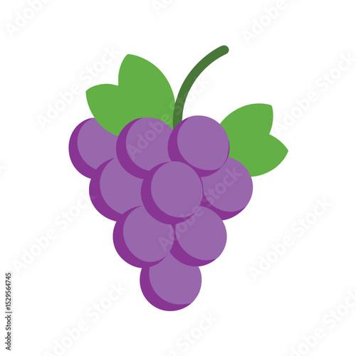 Grapes Cluster With Curved Leaves Vector