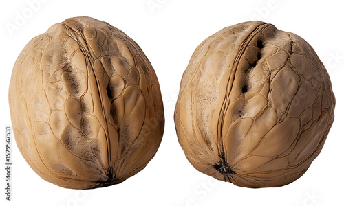 Two walnuts , isolated on transparent background, png