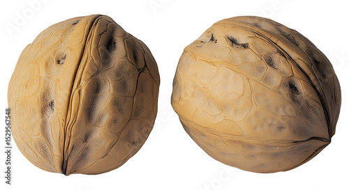 Two walnuts , isolated on transparent background, png