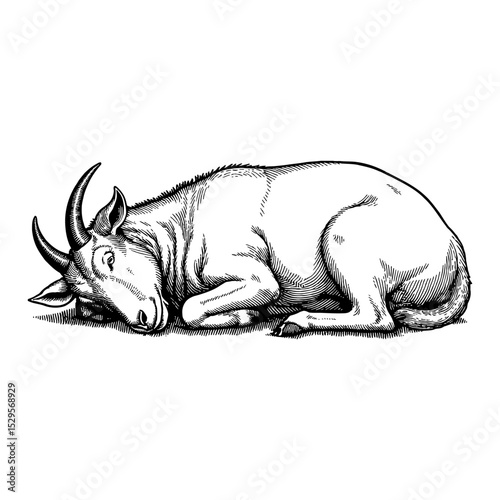 Peaceful Sleeping Lying Goat Animal Resting Side View Black and White Outline Line Art Drawing Vector Illustration
