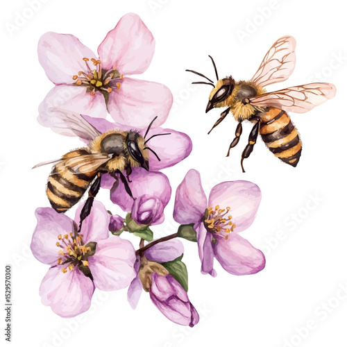 watercolor of Bees Flying Spring Blooms, vector high quality, isolated on a white background.