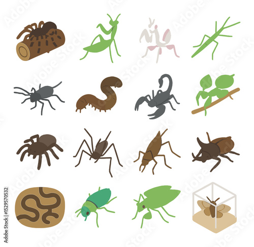 Exotic insect and arachnid pets isometric set. tarantula on log, praying mantis pose, orchid mantis, stick insect crawling, vinegaroon walking, giant