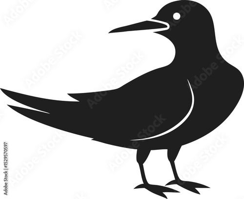Tern bird silhouette graceful seabird known for its agility and long migrations