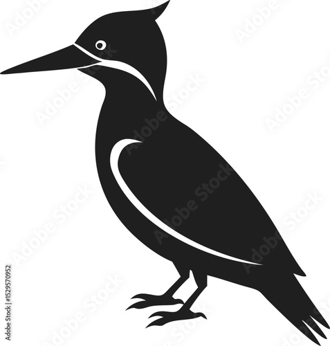 Woodpecker bird silhouette distinctive tree-dwelling species known for its pecking behavior