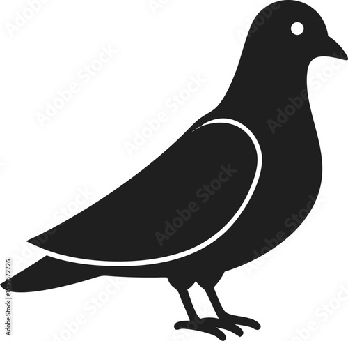 Dove bird silhouette elegant and symbolic species known for peace and grace