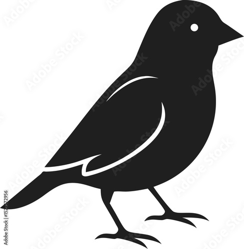Finch bird silhouette small and lively songbird known for its adaptability and charm