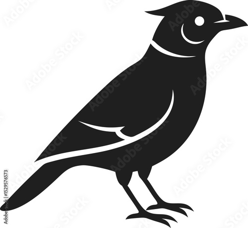 Blue Jay bird silhouette striking and intelligent species known for its vibrant plumage and vocal nature