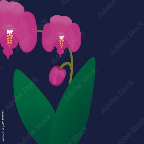 orchid flower with purple color on blue background. hand drawn for book cover. tote bag wrapping paper and card