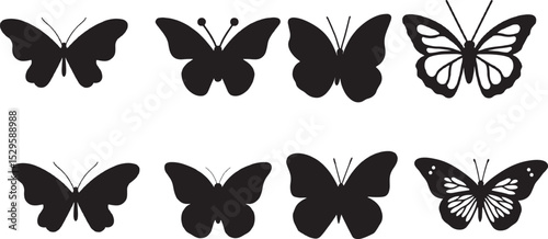 Silhouettes of butterflies. Black pictures of funny butterflies. Insect butterfly black silhouette, winged gorgeous animal, vector illustration