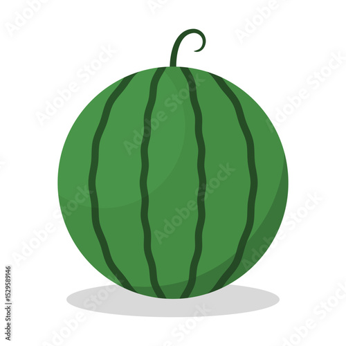 Green watermelon isolated on white background.Sweet juicy tropical fruit vector icon isolated on white background.