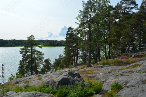 Bright beautiful nature, unusual landscapes of the mountain landscape Espoo city, Finland. Large gray brown stones, blue water of the Gulf of Finland, large green trees, pines, firs against the backgr