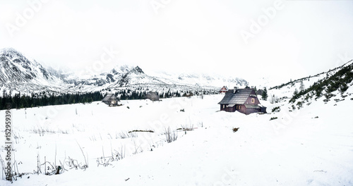 Fototapeta Naklejka Na Ścianę i Meble -  winter mountain landscape in Sakopane, Poland 