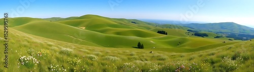 Highland Meadows in Spring