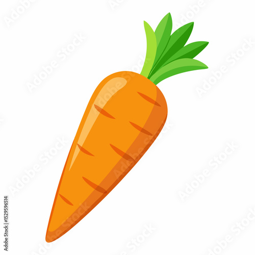 Simple Carrot Vector on White Background
