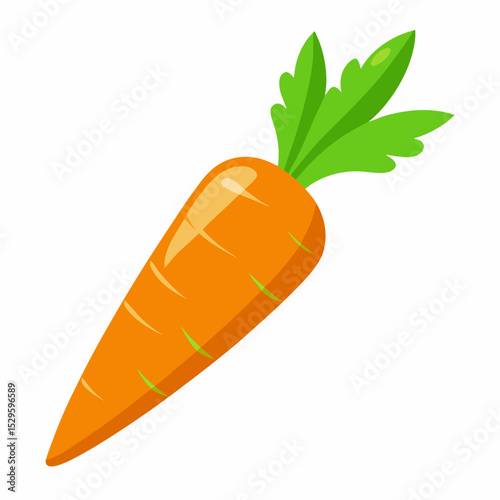 Simple Carrot Vector on White Background