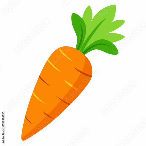 Simple Carrot Vector on White Background