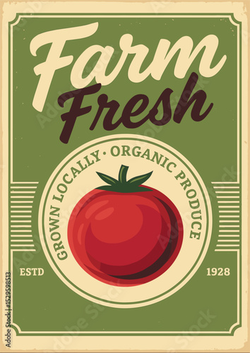 Tomato farm vintage poster design with ripe red tomatoes on vine, rustic agriculture advertisement for farmers markets