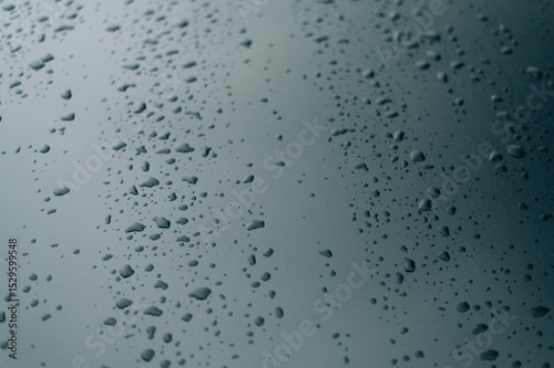 Raindrops on the hood of a car