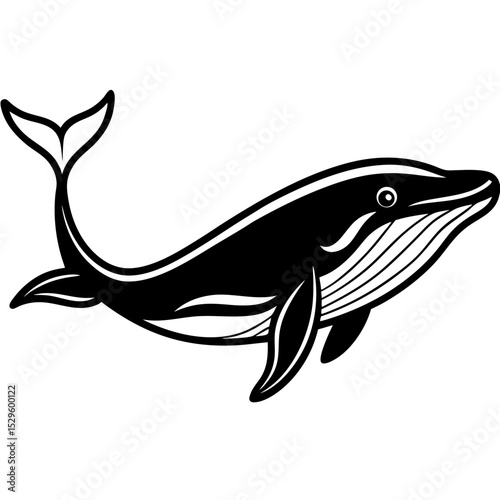 Blue Whale line line art vector