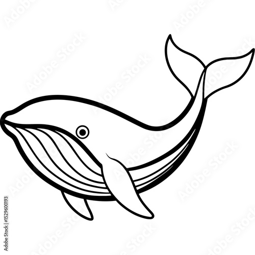 Blue Whale line line art vector