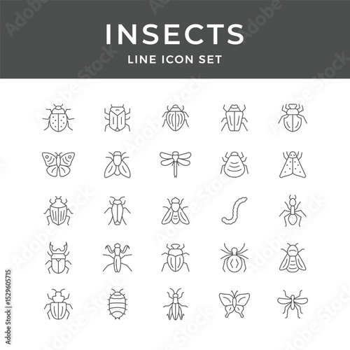 Diverse Insect Line Icons Set Beetles Butterflies Dragonflies Ants Graphic Design Elements